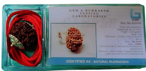 14 Mukhi Rudraksha Pendant, Lab Certified Brown Bead, Silver Setting, Nepali Spiritual Meditation Jewelry