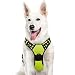 Eagloo Dog Harness No Pull, Walking Pet Harness with 2 Metal Rings and Handle Adjustable Reflective Breathable Oxford Soft Vest Easy Control Front Clip Harness Outdoor for X-Large Dogs Green