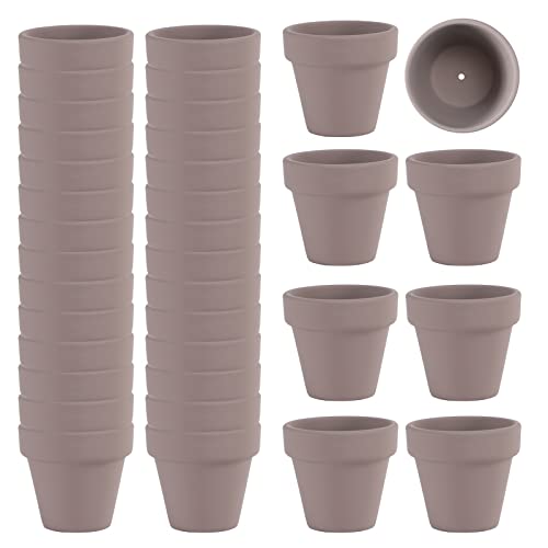 Fcacti 36 Pcs Small Mini Grey Clay Pots 2.1'' Terracotta Pot Clay Ceramic Pottery Planter Cactus Flower Pots Succulent Nursery Pots- Great for Window Boxes, Cactus, Plants, Crafts, Wedding Favors