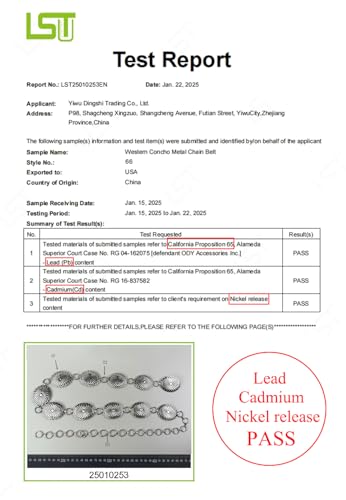 image for TOPACC Western Metal Oval Concho Chain belts for Women Silver Boho Cow