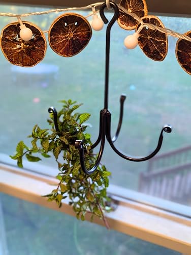 Wrought Iron Herb Dryer: Hanging Herbs for Homesteading, Farmhouse Decor & Sustainable Kitchen Organization