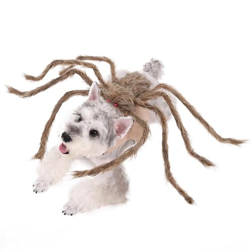 nEBybg 傫ȃNϐgߑ L ʔ AȕsCȂʂ݃NRX`[