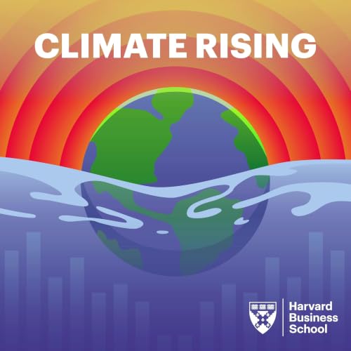 McKinsey on Climate Adaptation: The Global Resilience Gap