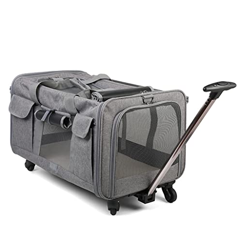 Valise à roulettes portable pour chat et chien avec poignée télescopique