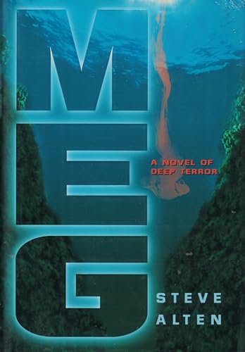 Meg view 2