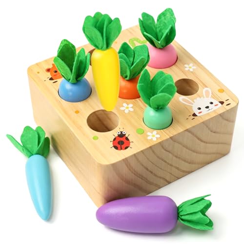 Image of Wdmiya Montessoritoys for 1 Year Old, Wooden Toys Developmental Shape Sorting & Matching Puzzle Macaron Carrots Harvest Game, Birthday Gifts for Toddlers Babies Boys and Girls 6-12 Months Christmas
