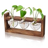 AXIM Pflanzen-Anzuchtstationen, kreatives Glashandwerk mit Retro-Massivholzhalterungen, Pflanzen-Terrarium-Set, herzförmige Gartendekoration für Pflanzenliebhaber, Heimbüro-Dekoration (transparent)