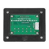 SIXRUN Regolatore di Tensione 8000W Controllo Multiuso