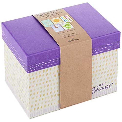 Hallmark Assorted Just Because Cards Organized in Storage Box, Box of 10 Greeting Cards - Thumbnail 5