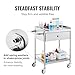 VEVOR Medical Cart, 2-Layer Stainless Steel Cart 220 lbs Weight Capacity, Lab Utility Cart with 360° Silent Wheels and a Drawer for Lab, Clinic, Kitchen, Salon