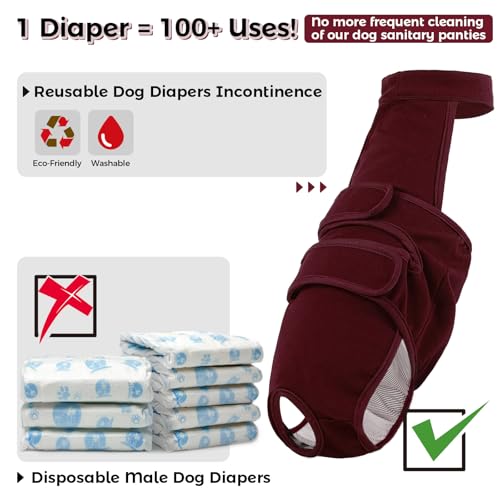 Image of QBLEEV Female Dog Diapers with Adjustable Suspenders - Washable Sanitary Panties for Dogs in Heat or Incontinence, Escape-Proof Reusable Pet Period Underwear Onesie for Small to Large Breeds