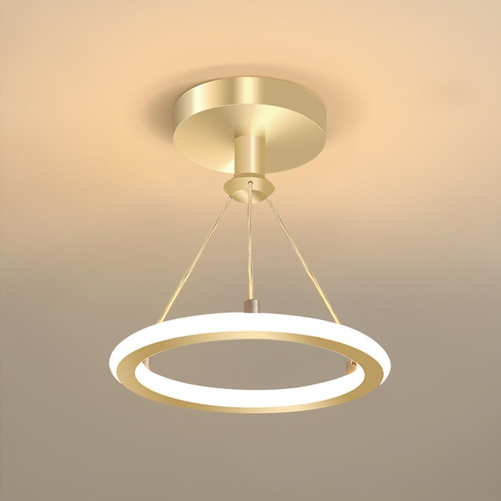 LED Modern Round Pendant Lamp Hanging Light Fixture Height Adjustable Ceiling Light Dining Chandelier Creative Rings Circle 19W for Living Room Dining Room Office Bedroom Hallway Warm white (gold)