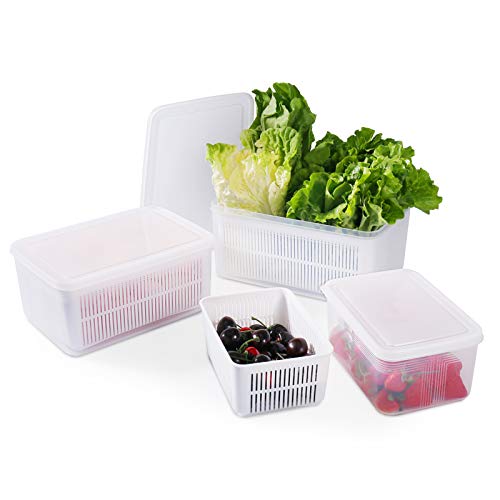 15 Best Freezer Containers For Food To Stay Fresh In 2022