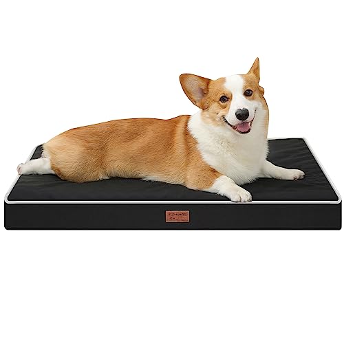 Dog Bed Mats for Medium Dogs - Orthopedic Dog Pet Bed Thick Egg Foam Crate, Removable Washable Cover, Non-Slip Bottom Durable Dog Crate Bed Mat (Black, M(30''x20''x3''))