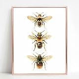 Bee Art Print, Bee Wall Art, Bee Nursery Decor, Girl Nursery Wall Art Decor, Bee Lover Wall Art, Bee Kind, Bee Yourself, Watercolor Bee Wall Art, No Frame (8X10 INCH)