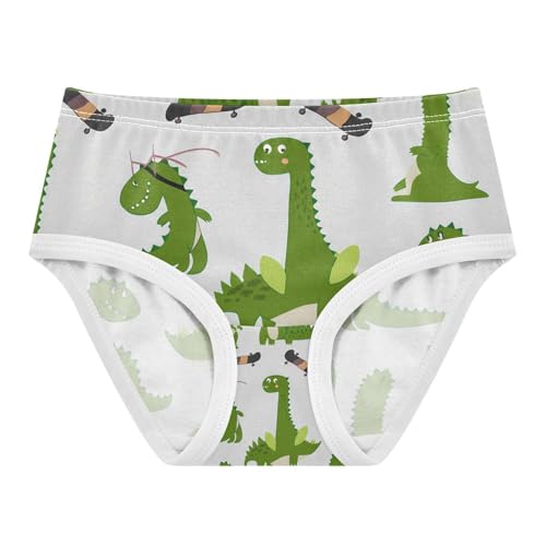 Dinosaurs Toddler Girls's Underwear 2T 202c1438