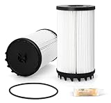 Fleetguard FS20172 Fuel Filter