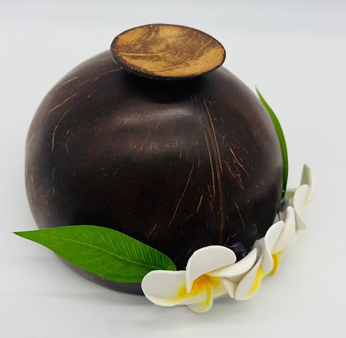 Amazon.co.jp: ハワイアン 天然ココナッツ使用 スタンド小物入れ