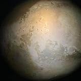 Lion Savage king - Cyril D