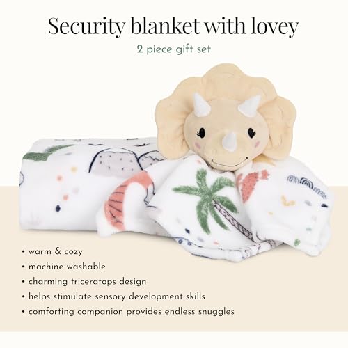Image of Evolur Roar and Snore Two Piece Gift Set, Includes Blanket with Lovey, Warm and Cozy Baby Blanket, Machine Washable Nursery Bed Blanket, Soft and Charming Lovey