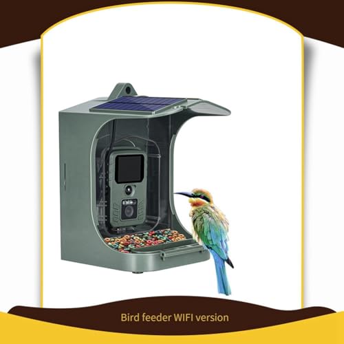 Alimentateur d'oiseaux caméra WiFi 1080P panneau solaire