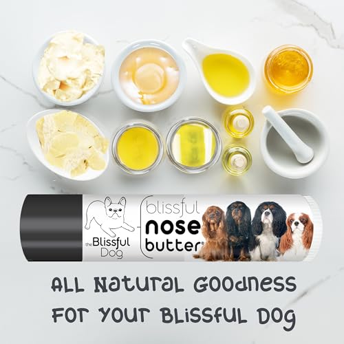Image of The Blissful Dog Cavalier King Charles Spaniel Nose Butter, Versatile Dog Nose Balm for Dry Nose, Handcrafted Nose Moisturizer, Easy-to-Apply Dog Essentials, Unscented, 0.15 oz.