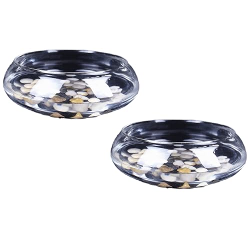 IOIUSKKU Bol de Lotus en Verre Transparent pour Montre d'eau Plantation de Fleurs de Lotus, élégant pour la Plantation de Fleurs de Plantes d'intérieur, 20 cm, 19.5 * 19.5 * 9.5CM