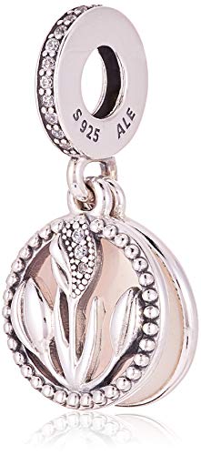 Abalorios 797825CZ Pandora de plata de primera ley con circonitas transparentes para mujer
