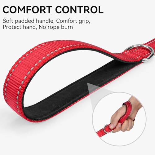 Joytale Hundeleine für Große und Mittelgroße Hunde, Doppelseitig Reflektierende Leine Hund aus Nylon mit Gepolstertem Griff, 1,8m x 2,5cm, Rot