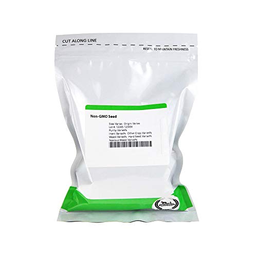 Hickory King White Corn Seeds - 1 Lb ~850 Seeds - Non-Gmo, Heirloom, Open Pollinated - Vegetable Gardening Seeds #TOP1