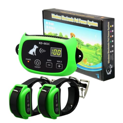 Collier Électronique Pour Chien : Test Complet Du Système Étanche