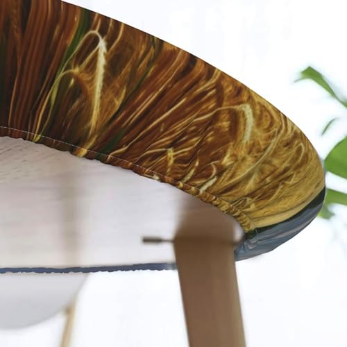 Nappe ronde imperméable élastique 120cm protège table imprimé champ de blé - 8
