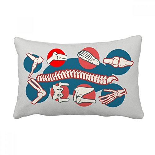 Coussin lombaire corps vertébraux idée cadeau originale pour kiné et médecin - 2