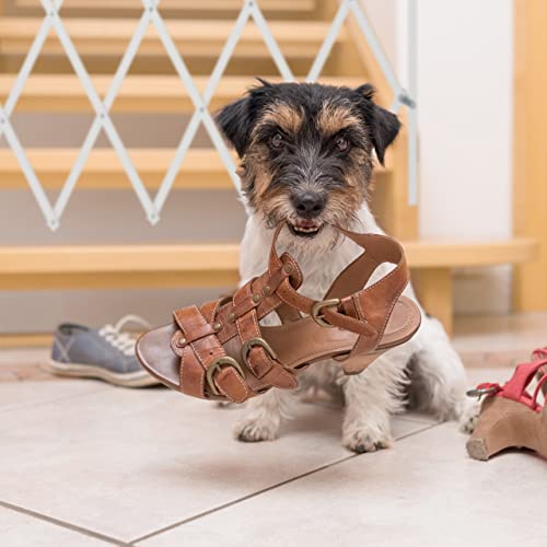 Relaxdays Hundeabsperrgitter, ausziehbar bis 118 cm, 69-82,5 cm hoch, Bambus, Hunde Schutzgitter für Treppe & Tür, weiß
