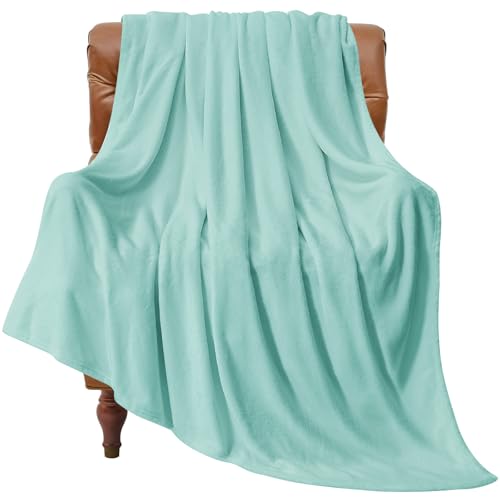 Image of BEDELITE Fleece Blanket Haze Blue Throw Blankets for Couch & Bed, Luxury Plush Cozy Fuzzy Blanket 50 inch x 60 inch, Super Soft Warm Lightweight Throw Blanket for Travel Camping