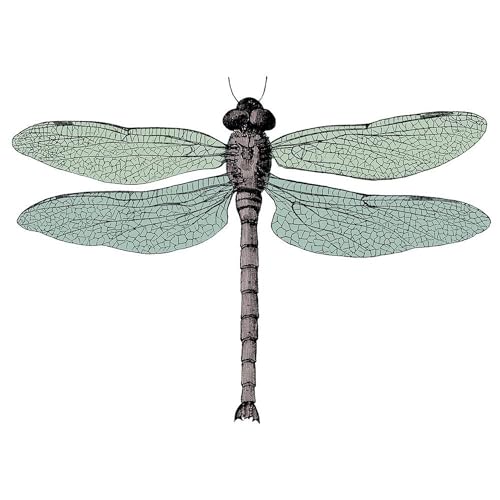 Mug grande Dragonfly cerámica 15 oz CafePress miniatura 3