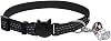 BINGPET Cat Collar Breakaway with Bell, Pack of 2 Heart Bling Collar Safety with Soft Velvet Adjustable for Kittens