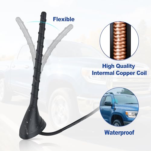 Antena de coche universal para radio FM Am con base y cable DIN de 5m 2