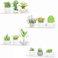 Lifewit 4 Stück Fenster Pflanzenregal ohne Bohren, Kunststoff Fensterregale für Pflanzen trag. 4,5KG, Blumenregal Saugnapf, Fenster Regal für Blumen Sukkulenten Kräuter Säm, 37 x 9 cm/14.6x3.6
