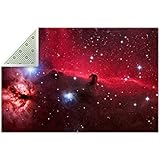 VBFOFBV Indoor/Outdoor Area-Rug, Non Shedding, Bed Room, Living Room, Dining Room, Deck, Backyard, P