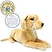 TigerHart Mason The Labrador - 19 Inch Stuffed Animal Plush