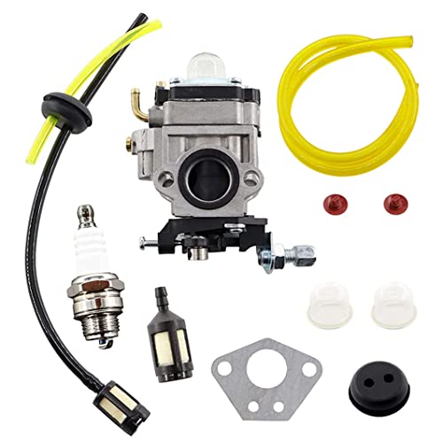 MCHNIC Carburador con bujía, manguera de gasolina, filtro de gasolina, juego de filtros para Florabest FBS 43 A1, FBK 4 B2 4 en 1, Parkside PBK 4 A1, desbrozadora PBS 2 A1