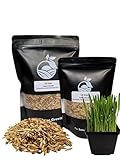 Organic Cat Grass Seeds, Non-GMO, A Mixture of Wheat, Oats, and Barley (350g)