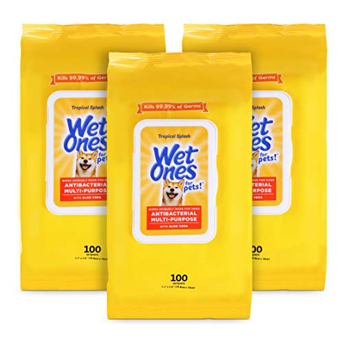 Wet Ones Multi Purpose Pets Wipes for Dogs, with Aloe Vera, Antibacterial, Kills Germs, Tropical Splash Scent, Pack of 3, 100 Count Pouches, 300 Wipes Total