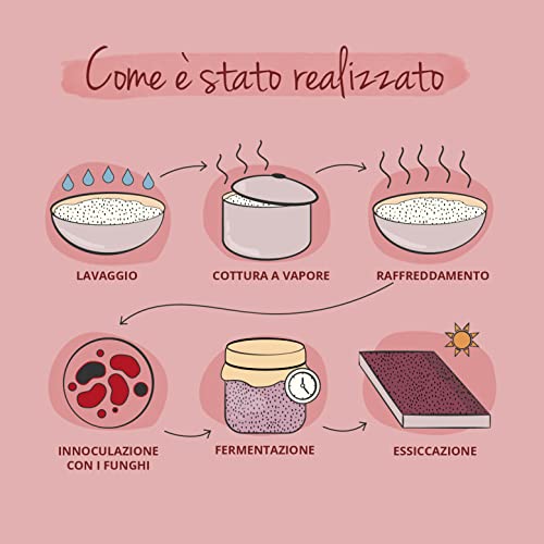 Riso Rosso Fermentato | 2,9 Mg Di Monacolina K | Con Coenzima Q10, Bergamotto E Carciofo | Salute Cardiovascolare E Controllo Dei Lipidi | Vegan | No Ogm | Vegavero® - 4