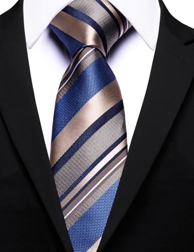 Image of Barry.Wang Silk Men Ties Formal Stripes Necktie and Tie Clip for Wedding Party Business Fashion Classic