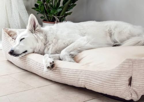 4L Textil Molly Kuscheliges Hundebett Bezug abnehmbar und waschbar Hundekorb mittelgroße Hunde Hundekissen flauschig Hundekörbchen Hundesofa (60x40 cm, Beige)