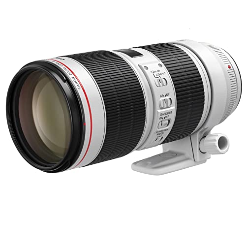 Canon EF 70-200mm f2.8 L IS USM III - Fernando Cortés