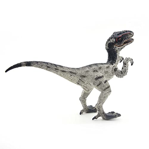 Coyka - Dinosaur Toys Park - Dino World Model - Jurassic Action Figures - Velociraptor Great Predator – Black And White #TOP1