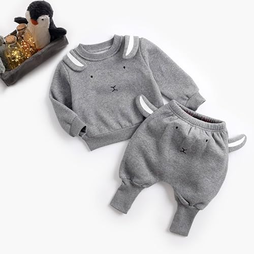 Toddler Baby Boy Girl Outfit Cartoon Dinosaur Long Sleeve Sweatshirt and Long Pants 2Pcs Winter Clothes3